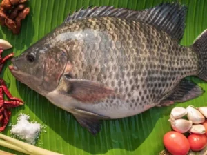 POISSONS TILAPIA (300-500g) 10kg